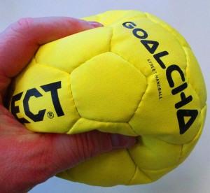 Goalcha-Ball